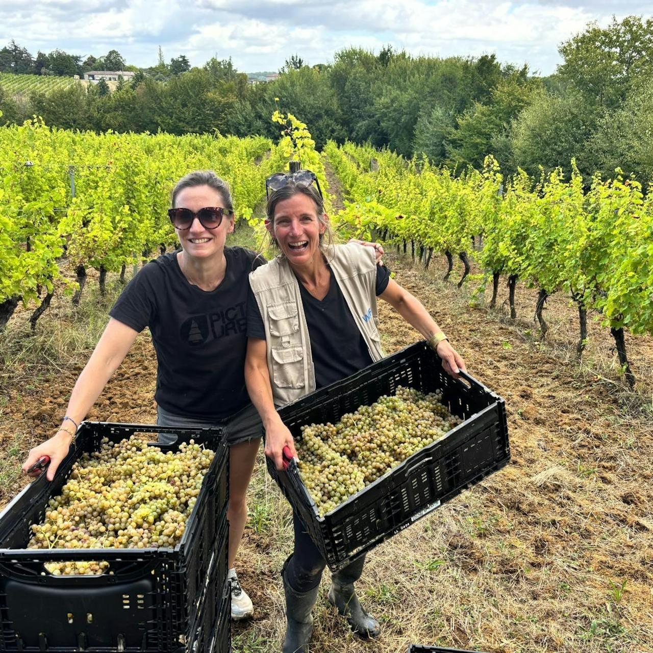 Domaine
Champ DUHO